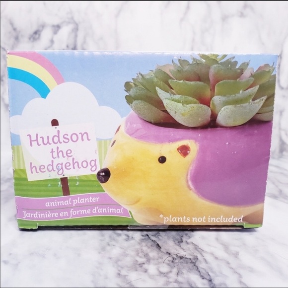 π4 Pc Mini Animal Planter Set - Picture 8 of 8